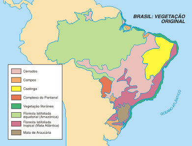 Brasil: Vegetação Original