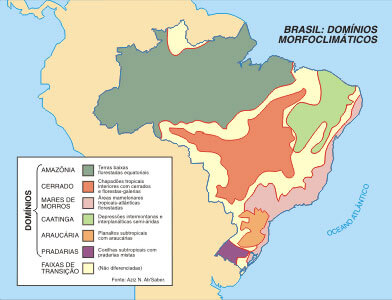 Brasil: Domínios Morfoclimáticos